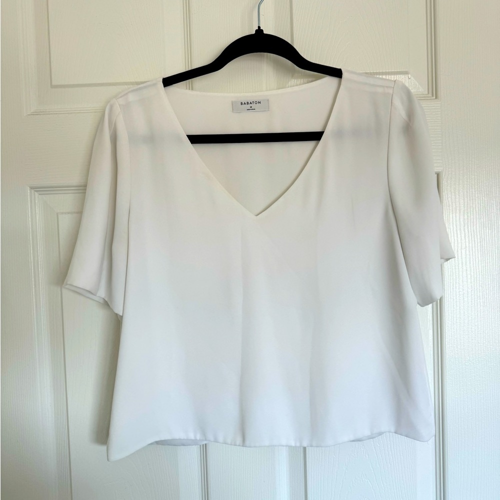 Aritzia Babaton Top with Sleeves
